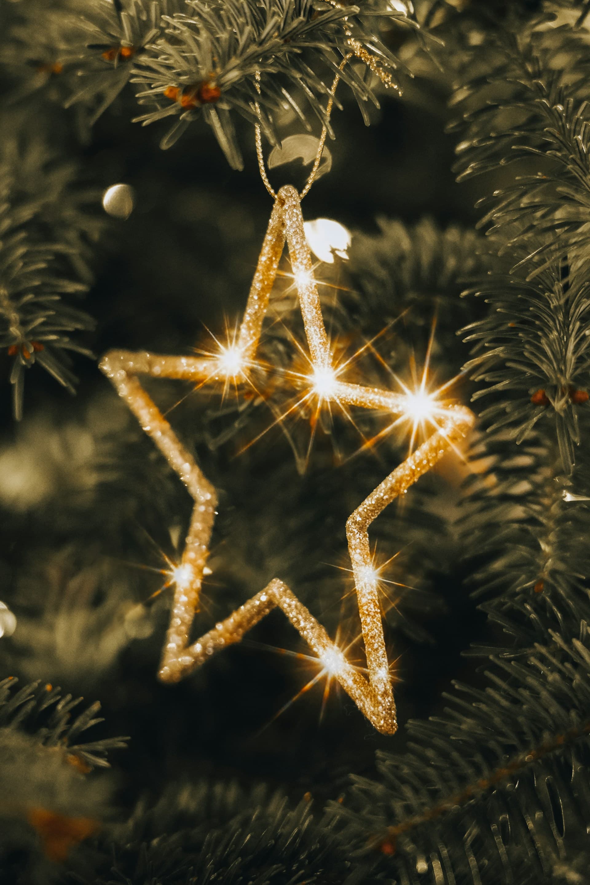 Golden star Christmas hanging ornament on an evergreen tree with warm lights